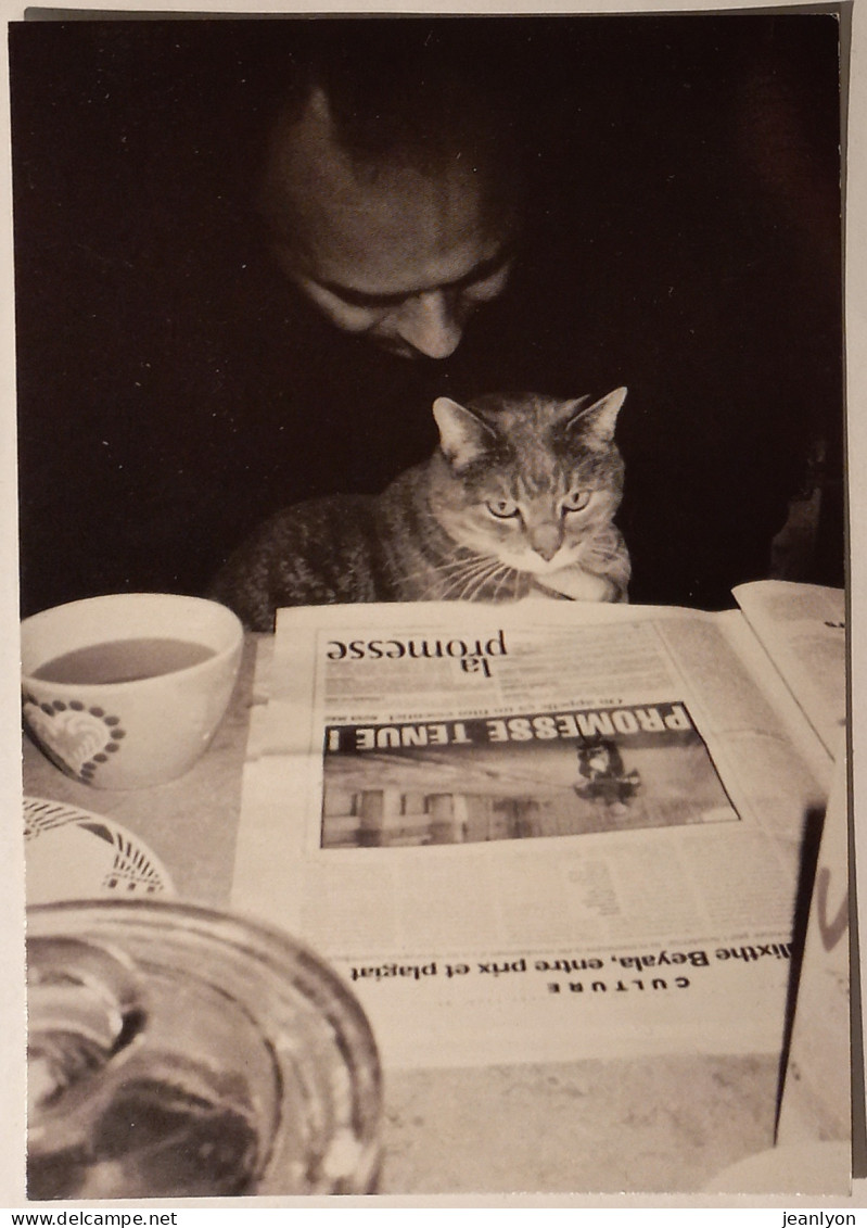 CHAT Lisant Une Page De Journal - Photographie Boris Ronfinnac / Tonsure Ton - Carte Publicitaire Reproduisant Photo - Katten