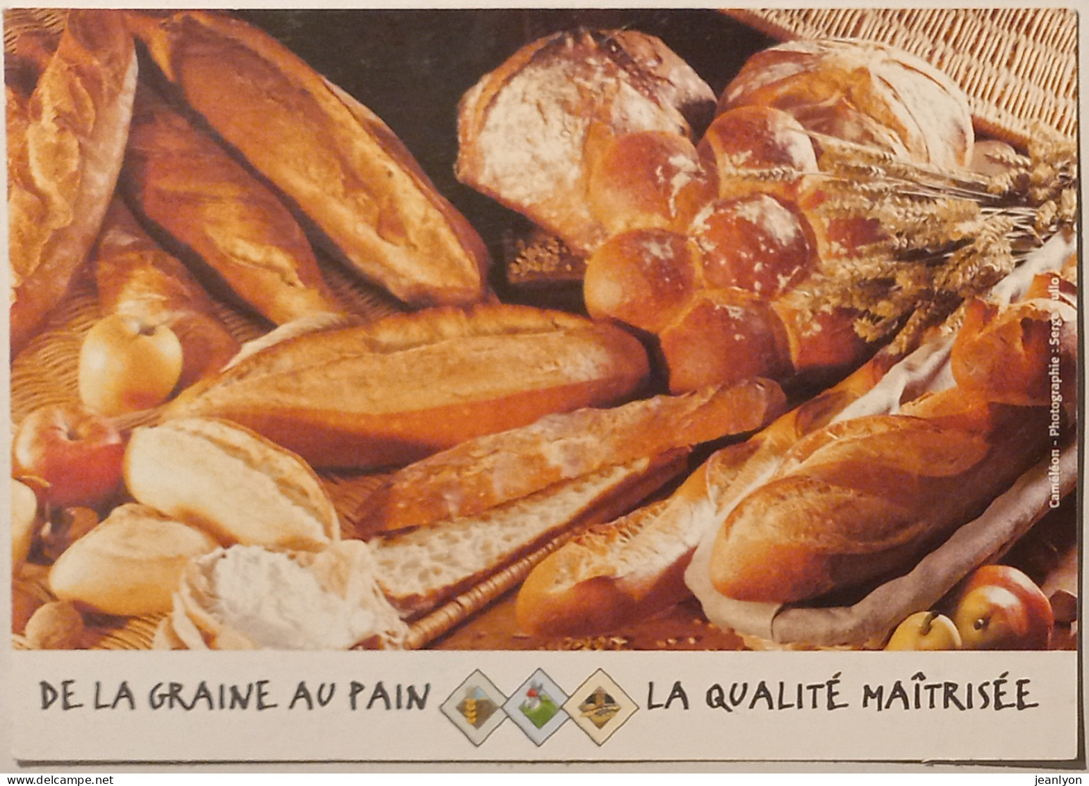 BOULANGERIE / PAIN - De La Graine Au Pain - Carte Publicitaire - Ambachten