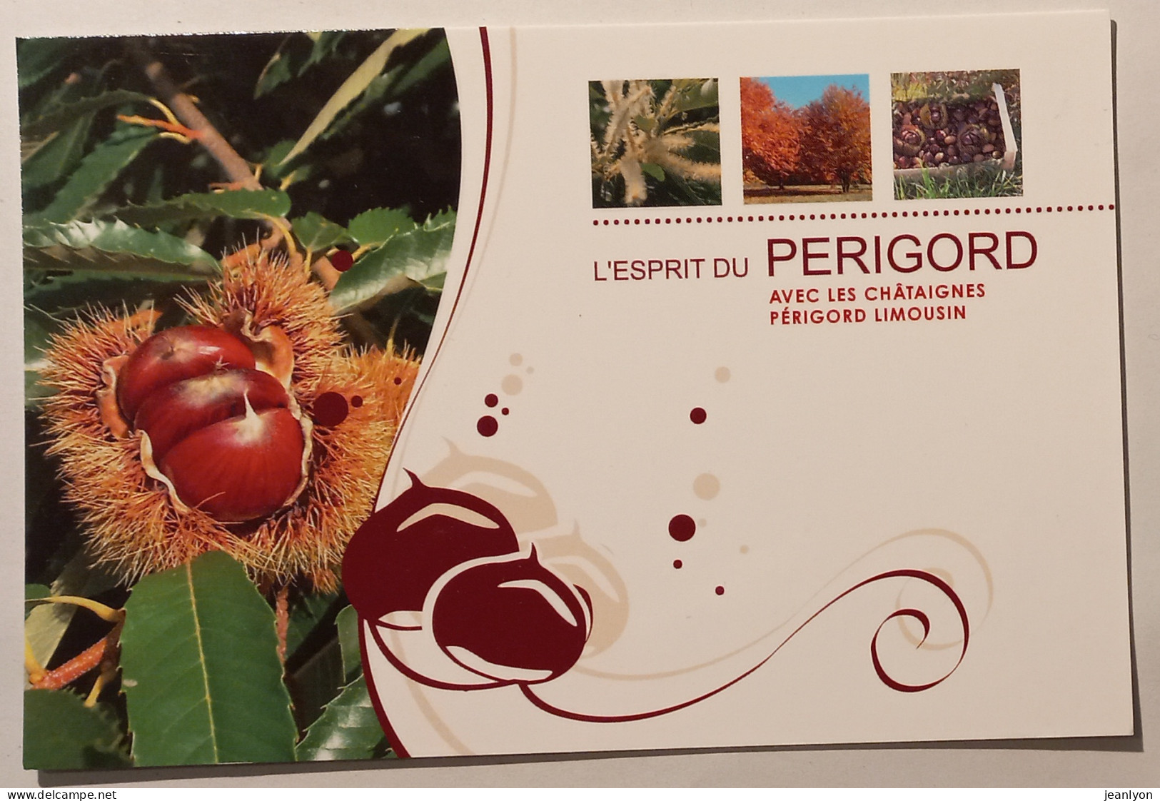 CHATAIGNE / Chataignier - PERIGORD / LIMOUSIN - Carte Publicitaire - Arbres