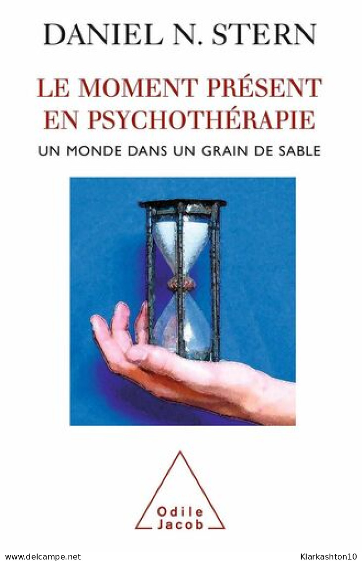 Le Moment Présent En Psychothérapie : Un Monde Dans Un Grain De Sable - Autres & Non Classés