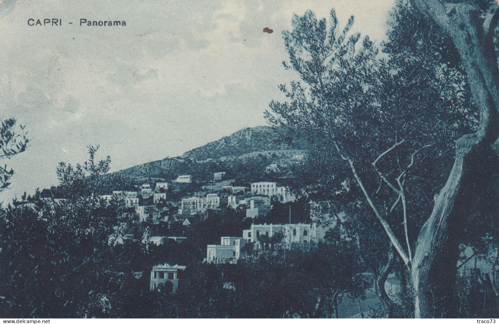 CAPRI  /   PALERMO  _  Cartolina Indirizzata Alla Famiglia Barocchiere _ 26.8.1928 - Palermo