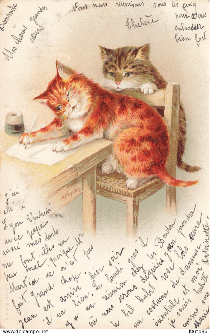 Chats Humanisés * CPA Illustrateur A. F. LYDON Lydon 1903 * Chat Cat Cats Katze * écriture D'une Lettre Plume Encre - Cats