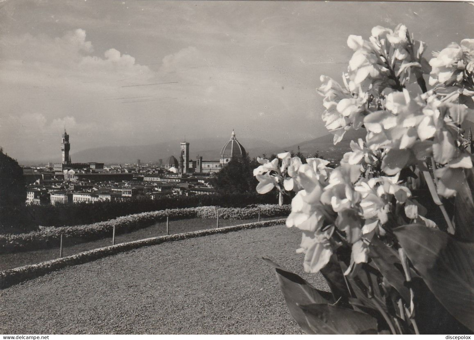 AD164 Firenze - Panorama Della Città - Fiori Fleurs Flowers / Viaggiata 1954 - Firenze (Florence)