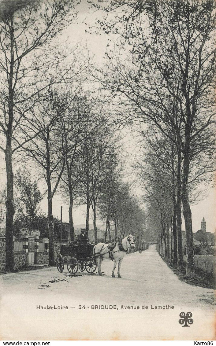 Brioude * 1906 * Avenue De Lamothe * Attelage Villageois Cheval - Brioude