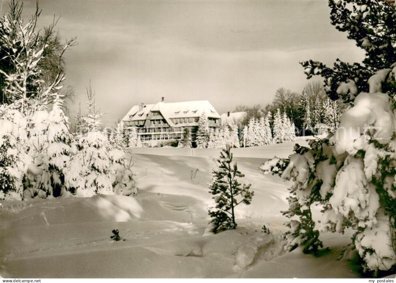 73664626 Hinterzarten Hotel Weisses Roessle Im Winter Hinterzarten - Hinterzarten