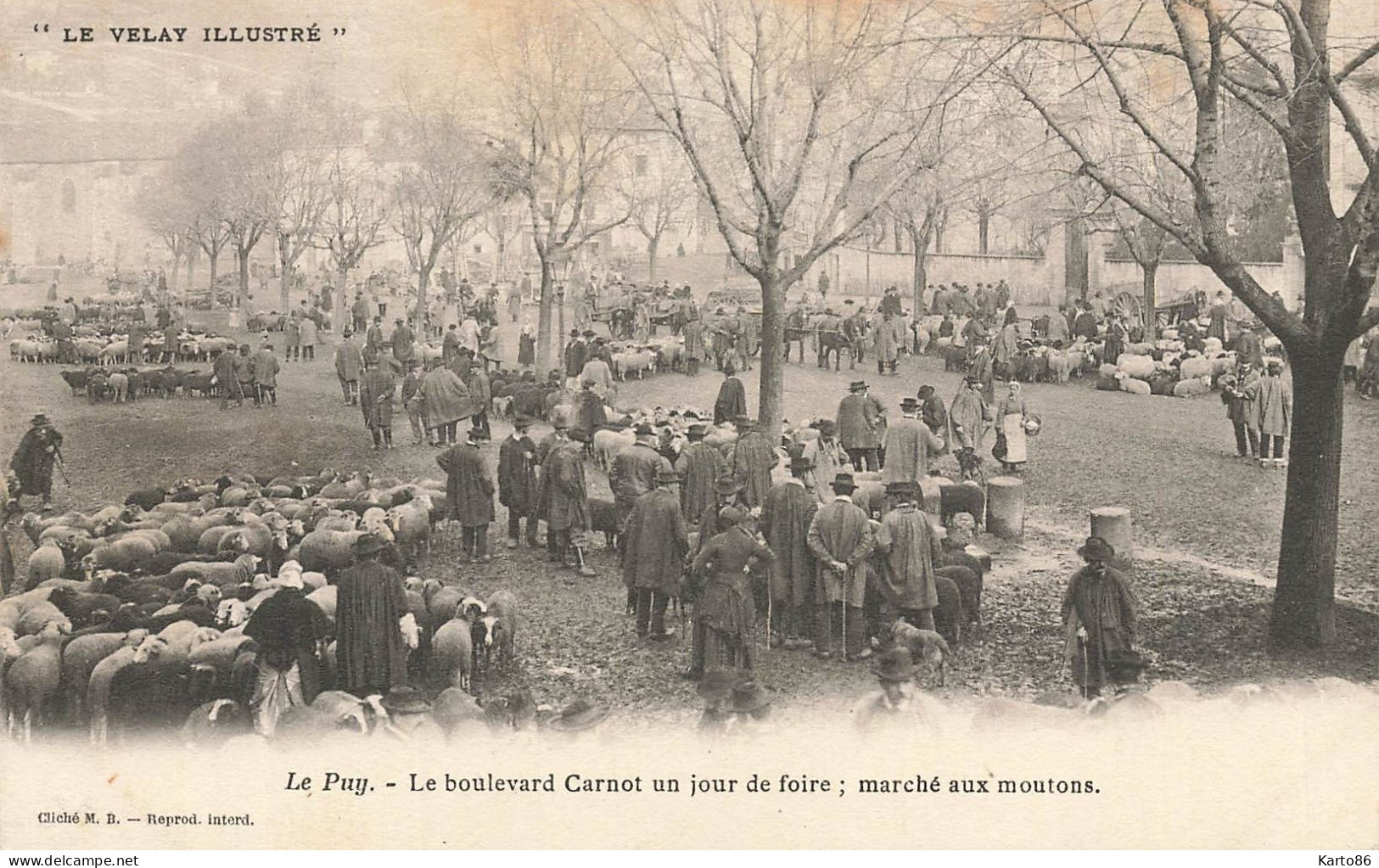 Le Puy * Le Boulevard Carnot Un Jour De Foire , Marché Aux Moutons - Le Puy En Velay