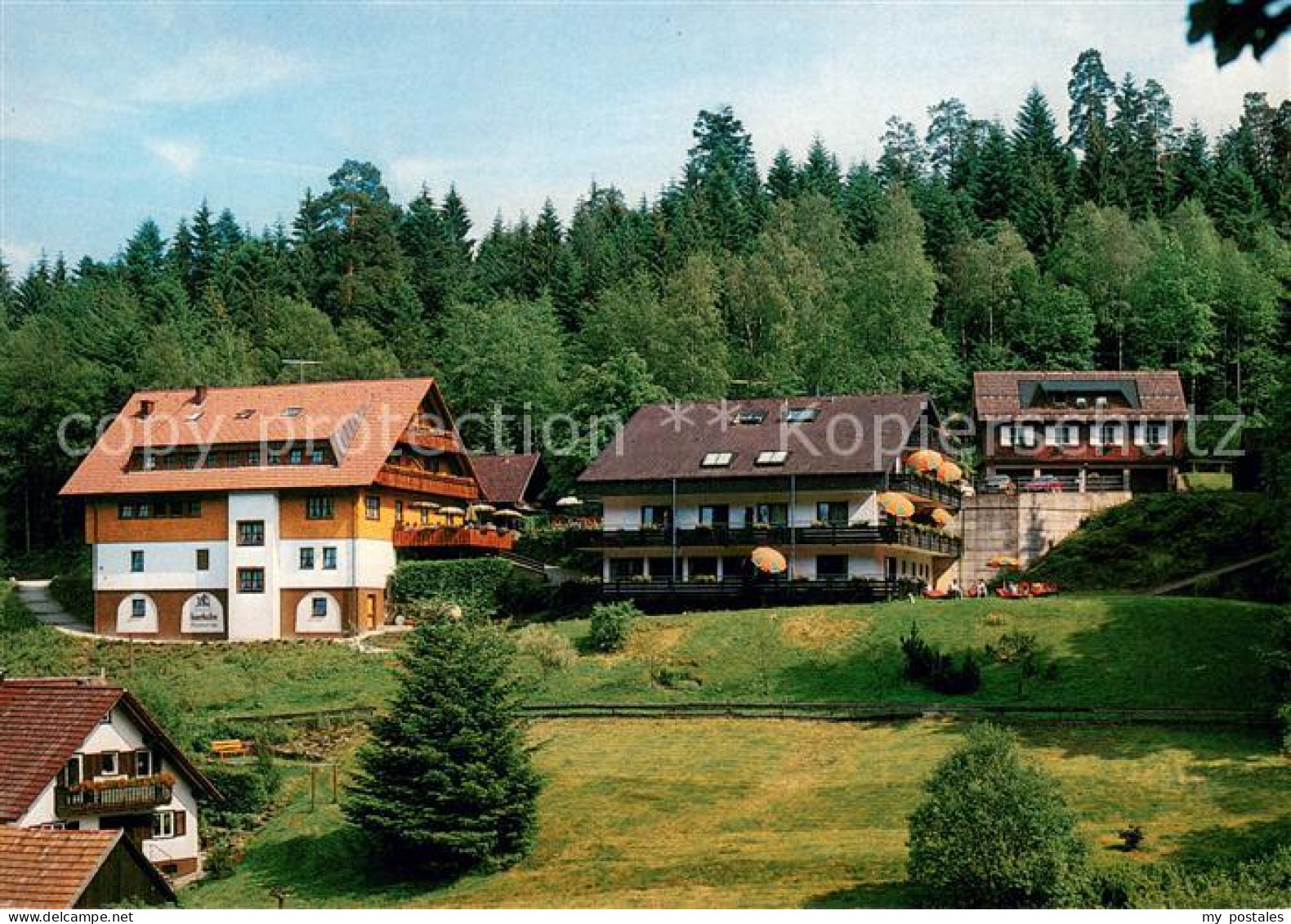 73664524 Hinterlangenbach Baiersbronn Forsthaus Auerhahn Mit Gaestehaus Katrin H - Baiersbronn