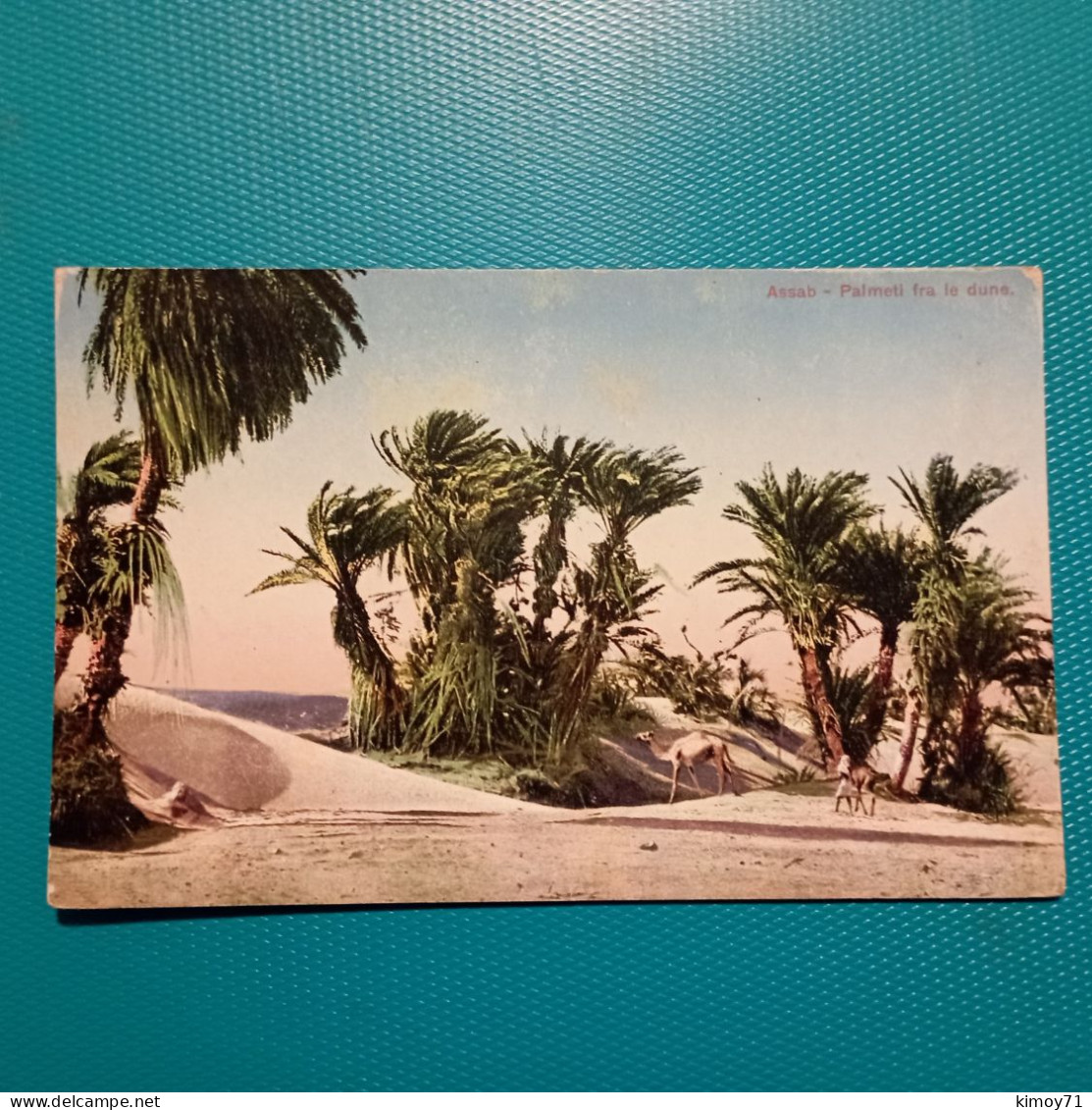 Cartolina Assab - Palmeti Fra Le Dune. Viaggiata 1916 - Erythrée