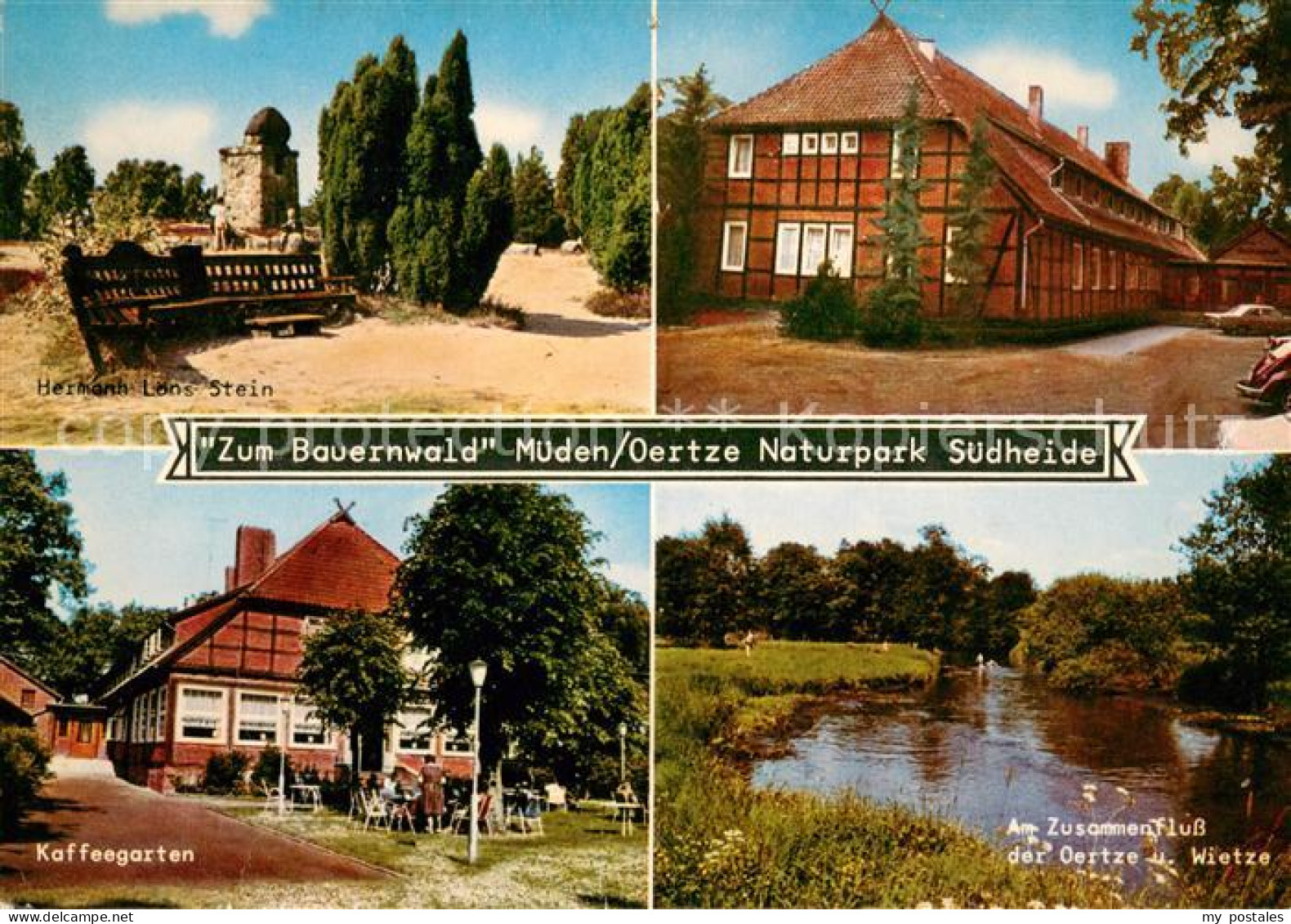 73663657 Mueden Oertze Gast- Und Pensionshaus Zum Bauernwald Naturpark Suedheide - Altri & Non Classificati