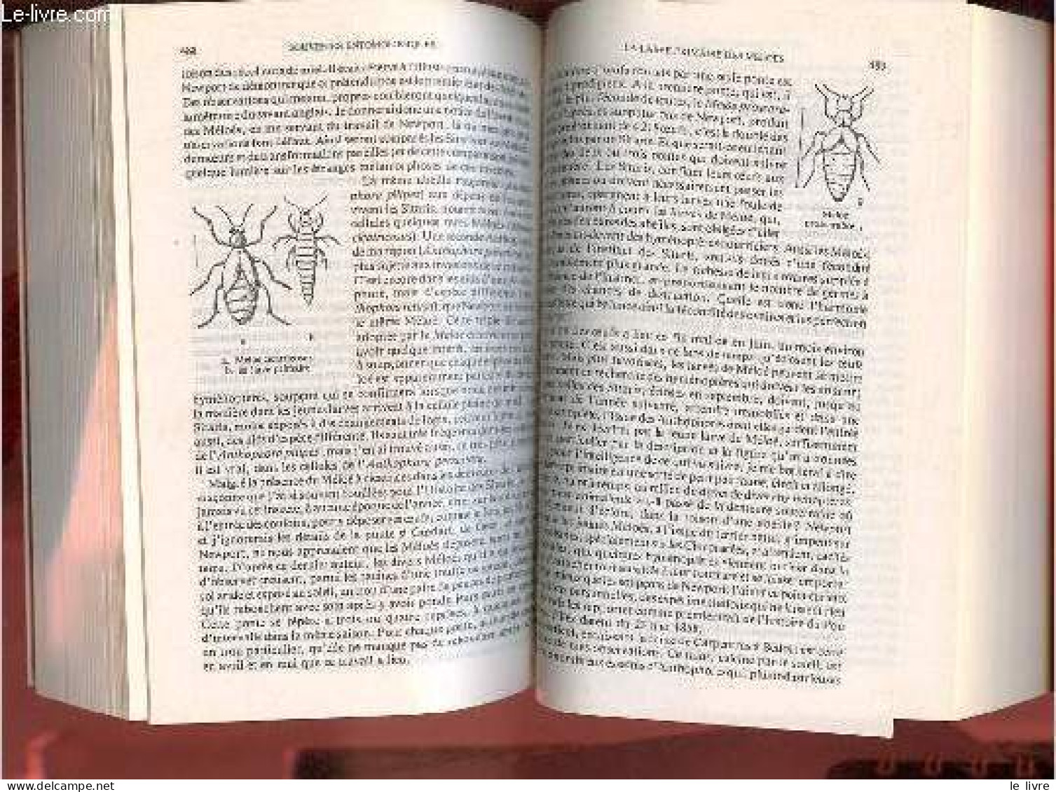 Souvenirs Entomologiques - Etudes Sur L'instinct Et Les Moeurs Des Insectes - Tome 1 + Tome 2 (2 Volumes) - Collection B - Dieren