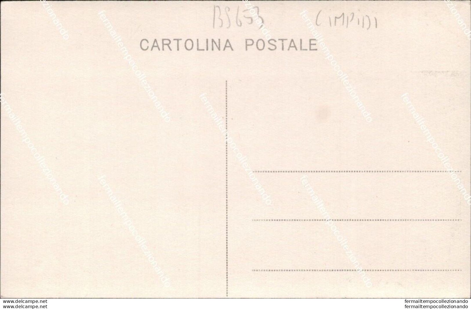 Bs653  Foto Cartolina Limpidi Costruzione Ponte Filesi  Vibo Valentia Calabria - Vibo Valentia
