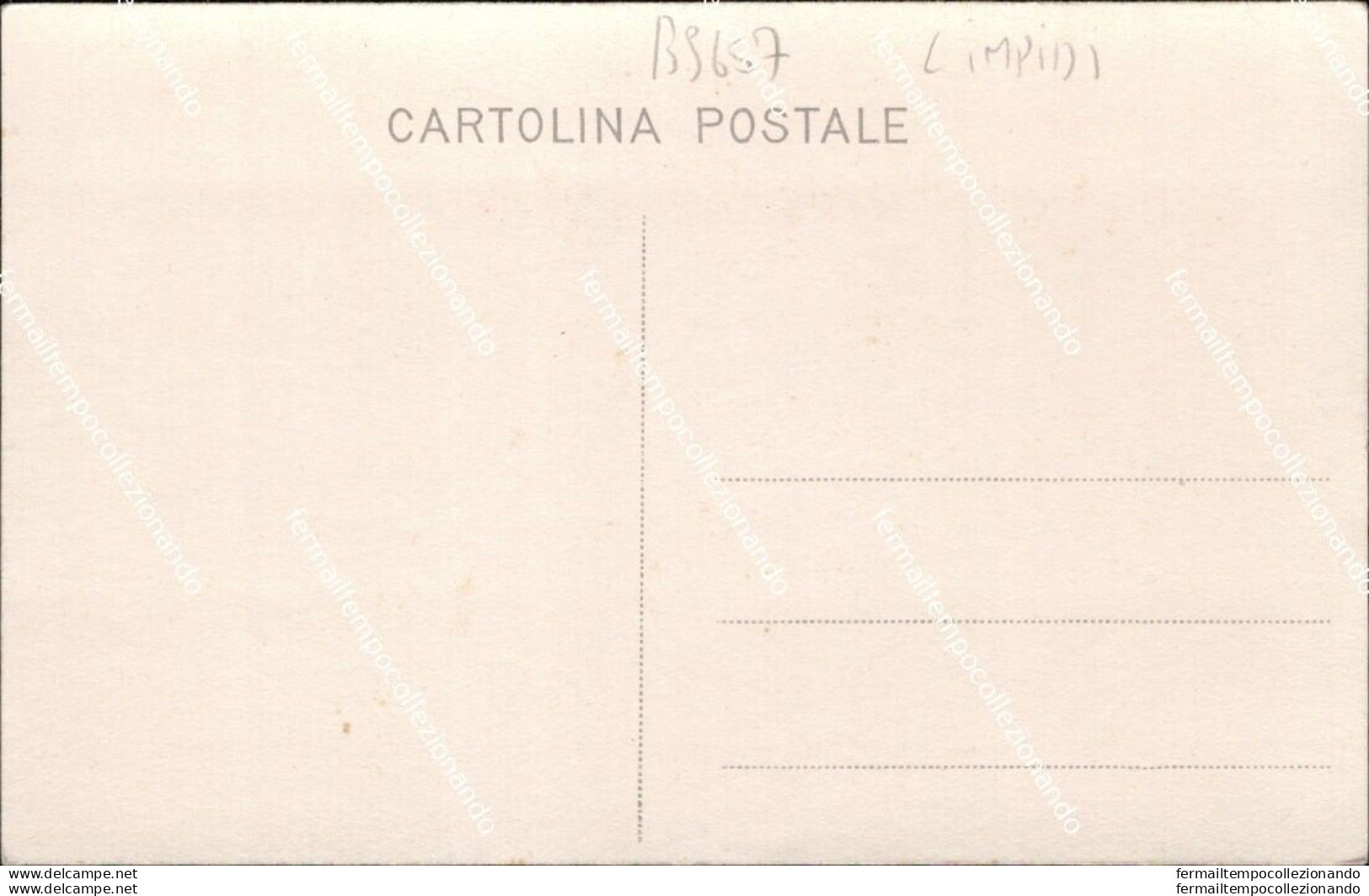 Bs657  Foto Cartolina Limpidi Costruzione Ponte Filesi  Vibo Valentia Calabria - Vibo Valentia