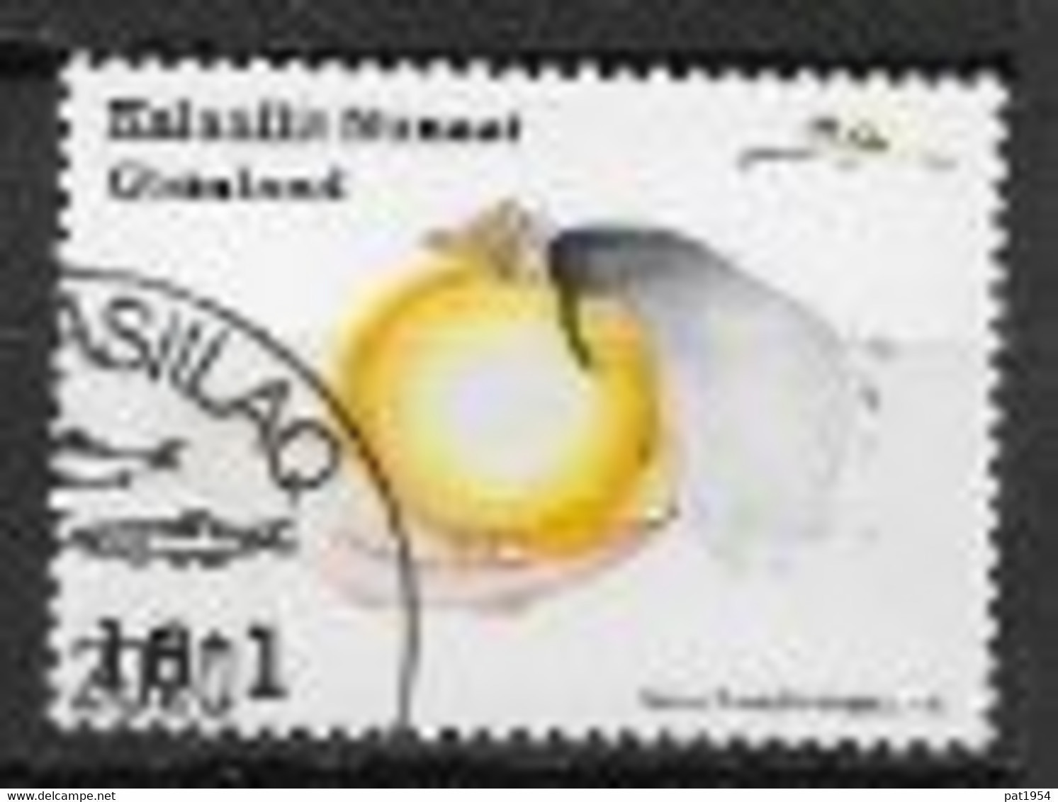Groënland 2020, Timbre Oblitéré Avec Surtaxe Covid 19 - Used Stamps
