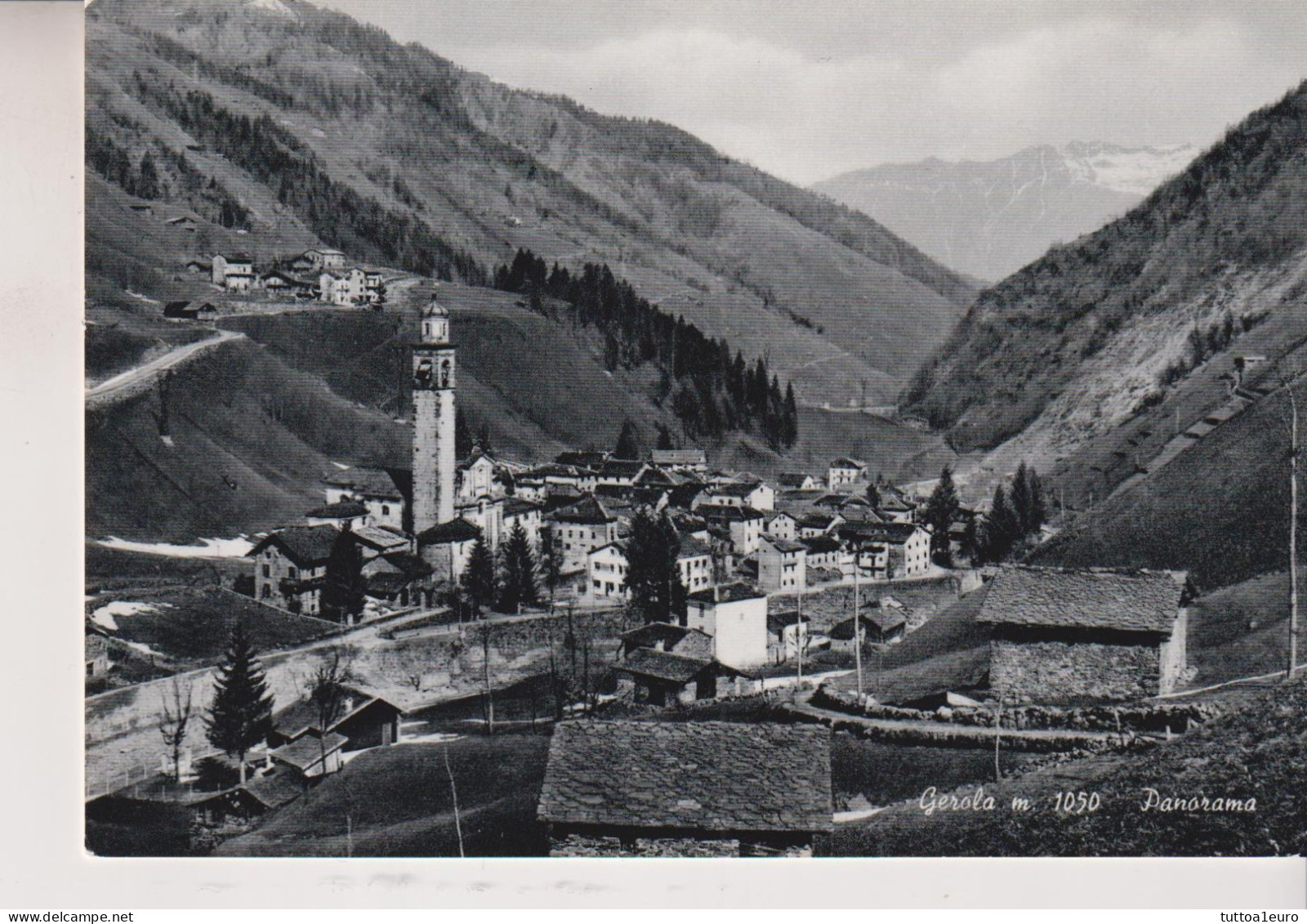 GEROLA  SONDRIO  PANORAMA  NO VG - Sondrio