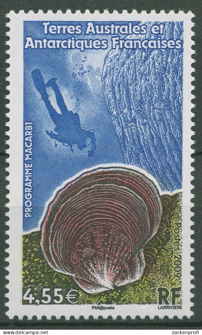 Franz. Antarktis 2009 Antarktische Kammuschel Taucher 679 Postfrisch - Unused Stamps