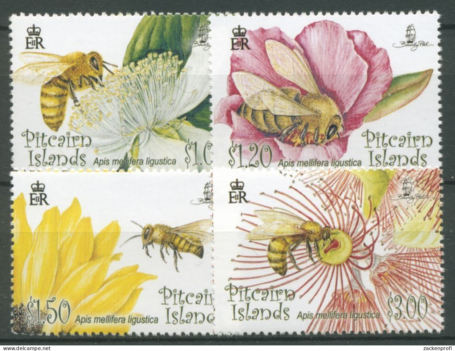 Pitcairn 2008 Blüten Und Bienen 757/60 Postfrisch - Pitcairn Islands