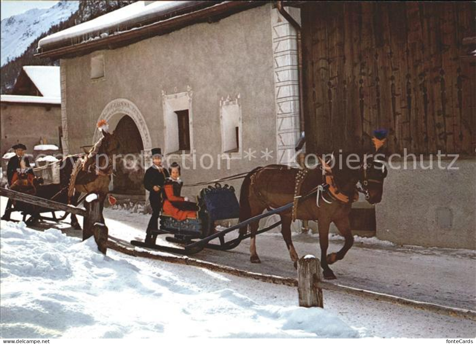 12009574 Engadin GR Schiltteda Pferde  St Moritz - Sonstige & Ohne Zuordnung