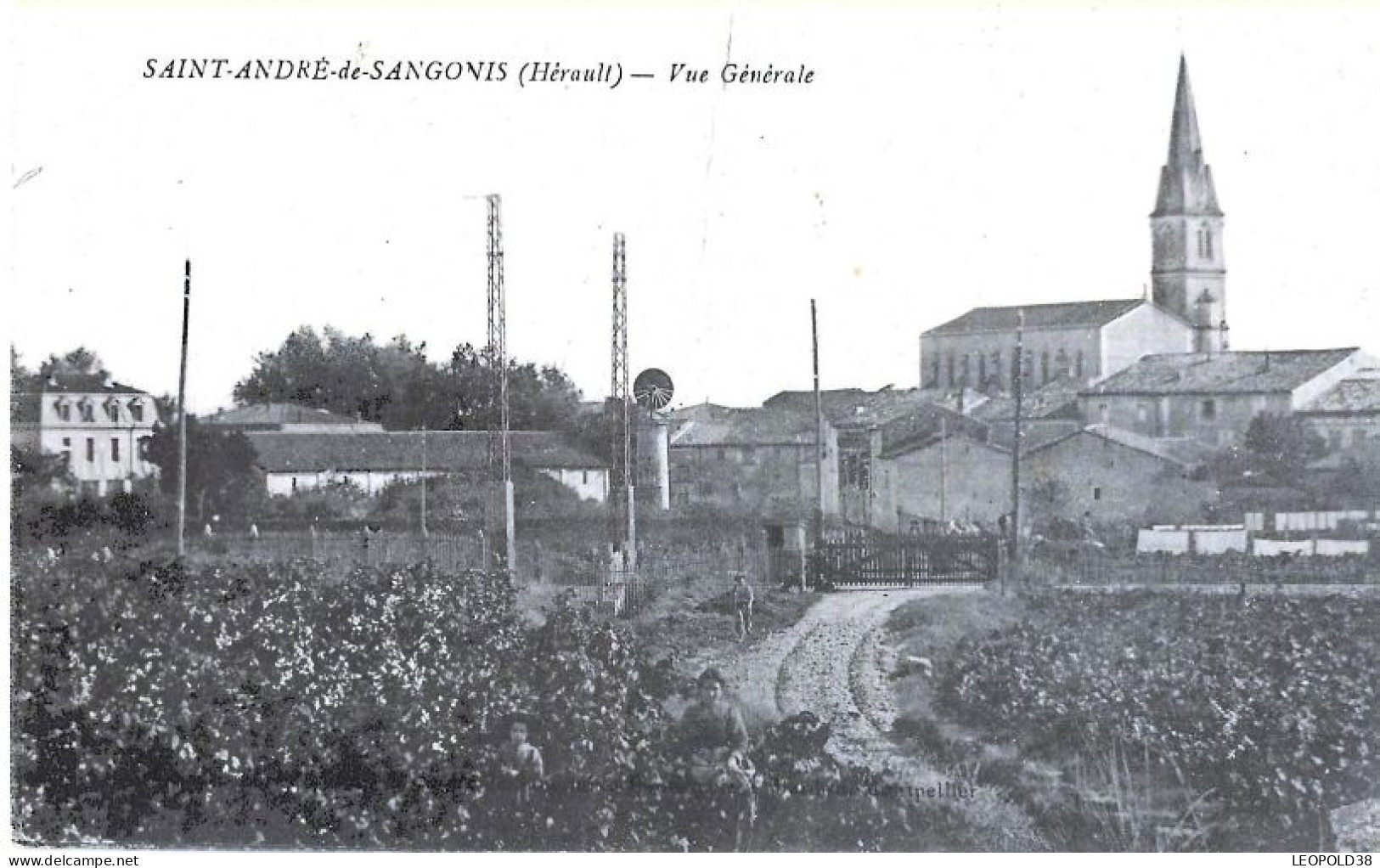 Saint André De Sangonis Vue Générale - Sonstige & Ohne Zuordnung