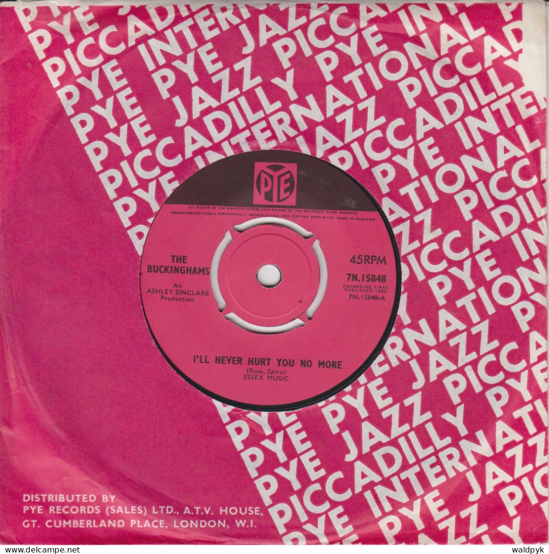 THE BUCKINGHAMS (GBR) - I'll Never Hurt You No More - Autres - Musique Anglaise