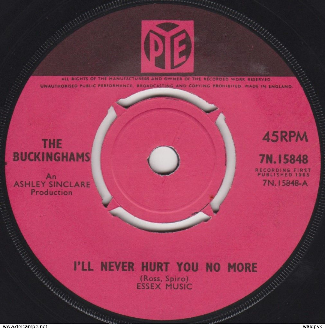 THE BUCKINGHAMS (GBR) - I'll Never Hurt You No More - Other - English Music