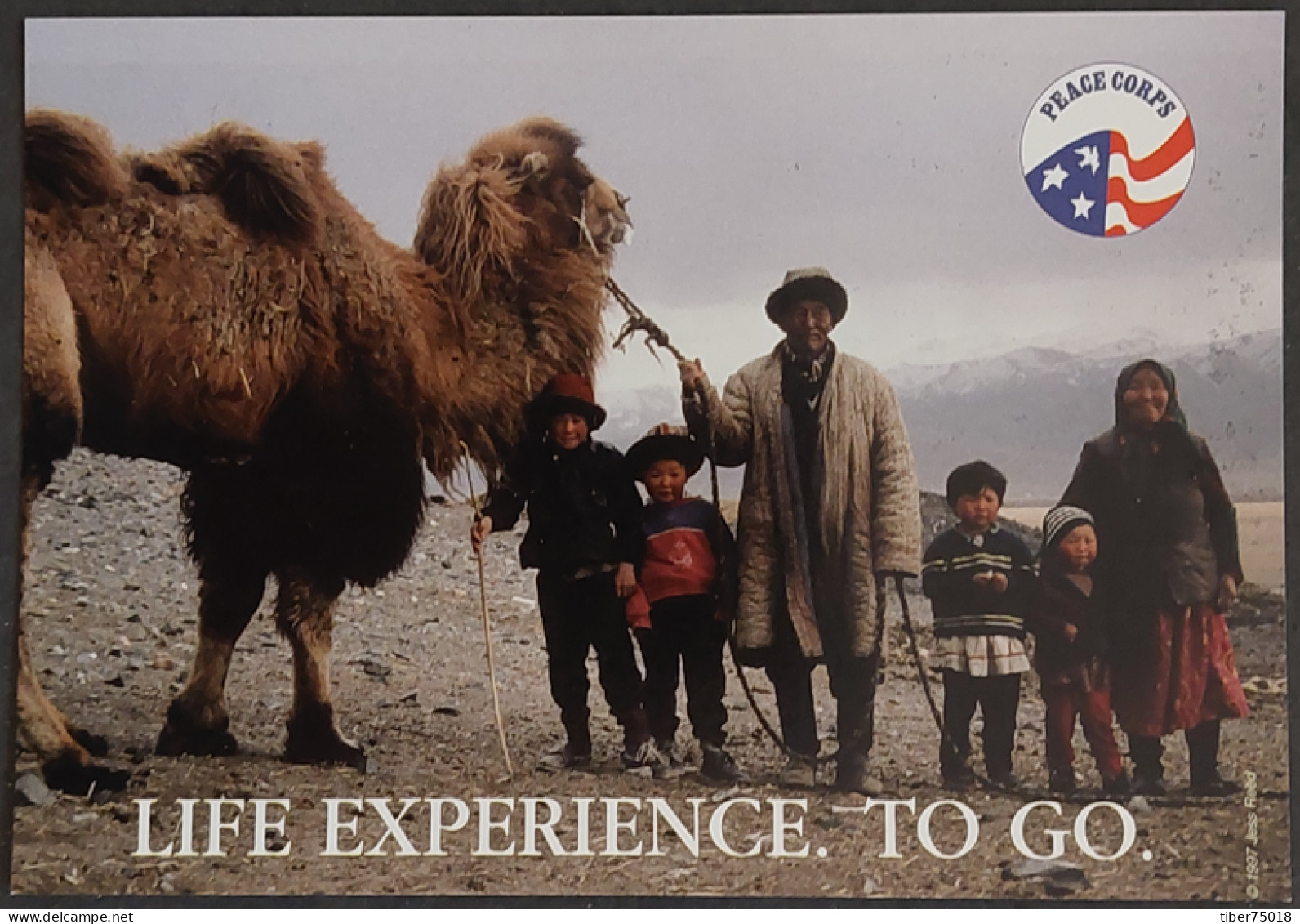 Carte Postale - Peace Corps (life Exerience. To Go.) Jess Reed, Avril 1995 - Kyrgyzstan (chameau) - Reclame