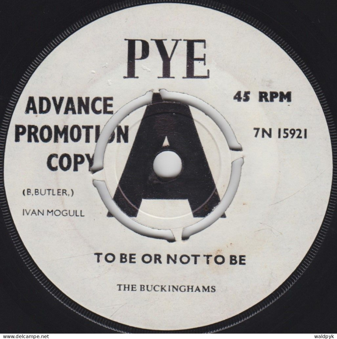 THE BUCKINGHAMS (GBR) - To Be Or Not To Be - Other - English Music