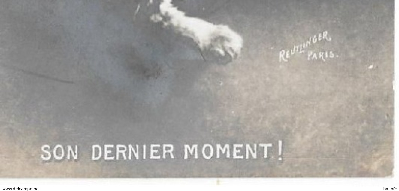 Thème Chat . Son Dernier Moment !  Illustrateur Photographe Reutlinger - Other & Unclassified
