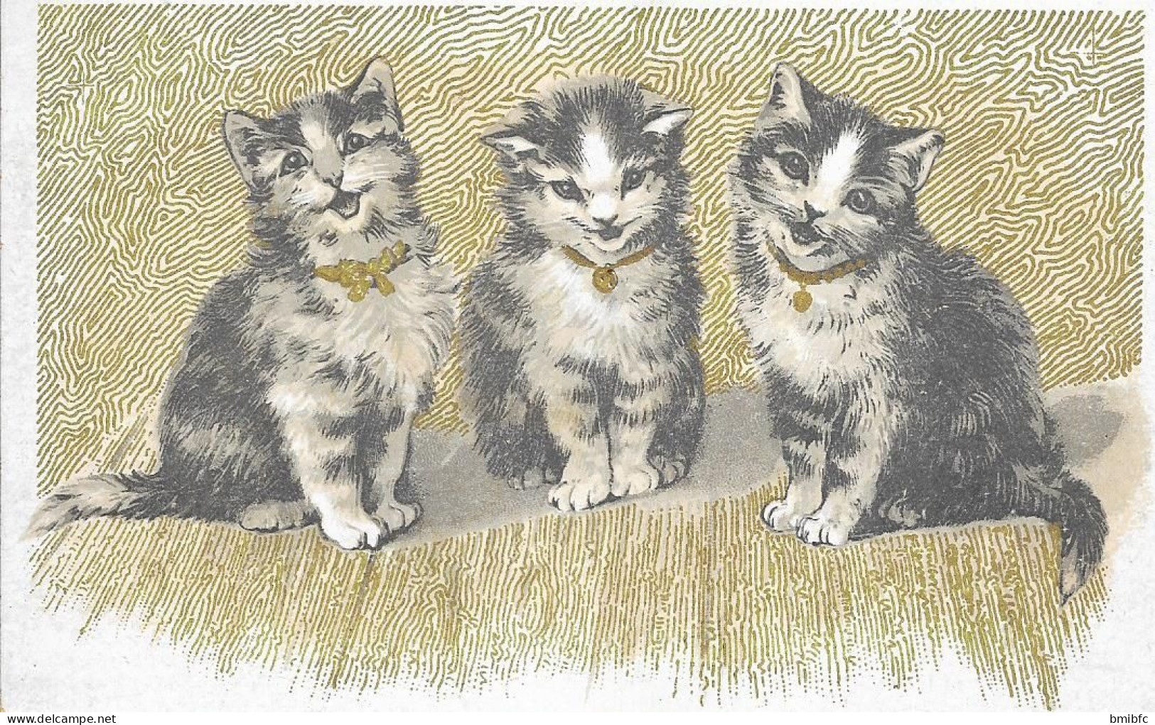 Thème Chatons Avec Collier Différente Couleur Dorée - Katzen