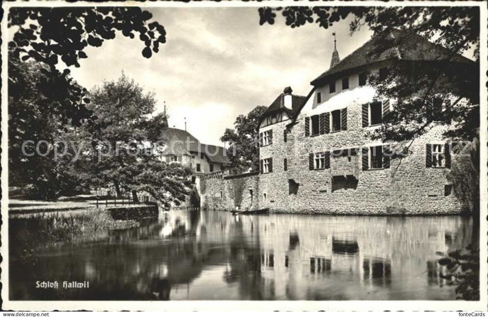 12006570 Hallwil Schloss Hallwil - Andere & Zonder Classificatie