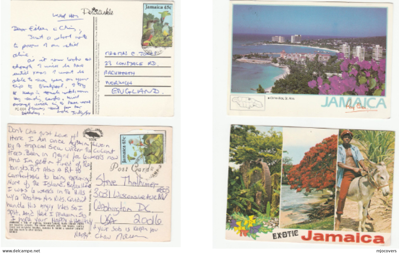 2 JAMAICA View Postcards BIRD PARROT Stamps To GB USA Birds  Postcard - Giamaica (1962-...)