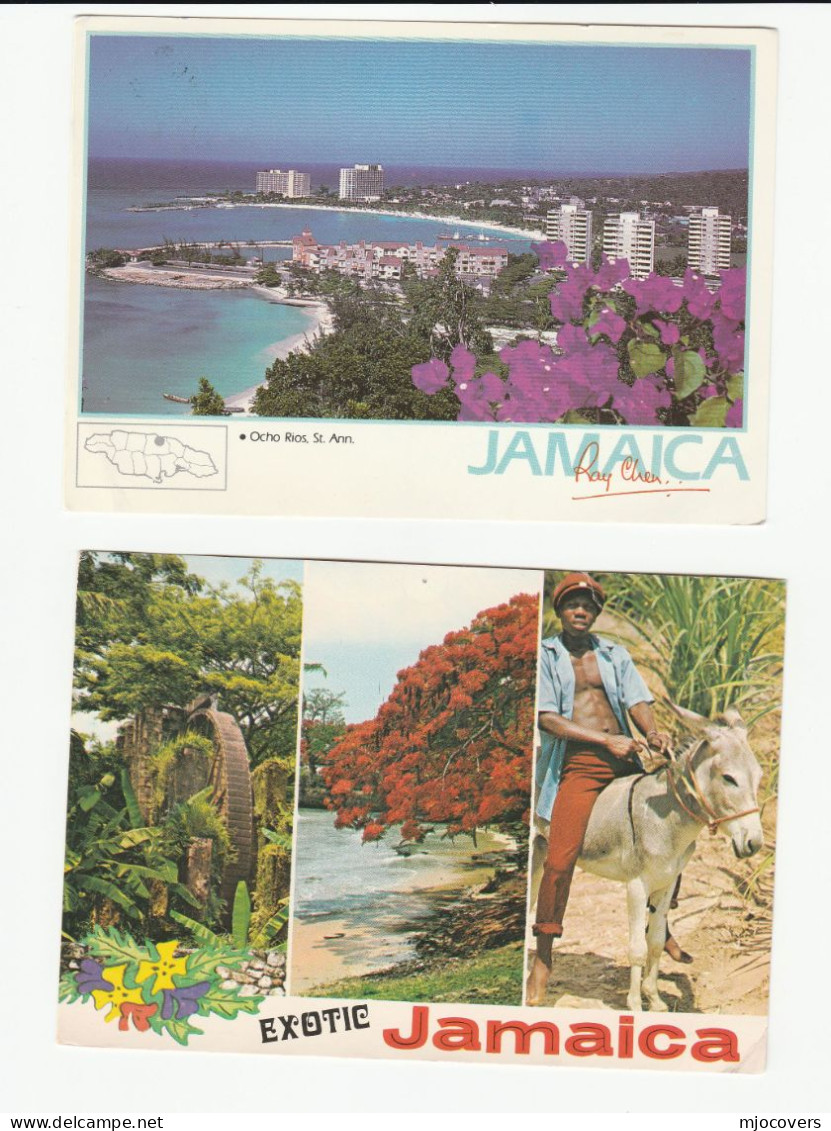 2 JAMAICA View Postcards BIRD PARROT Stamps To GB USA Birds  Postcard - Jamaique (1962-...)