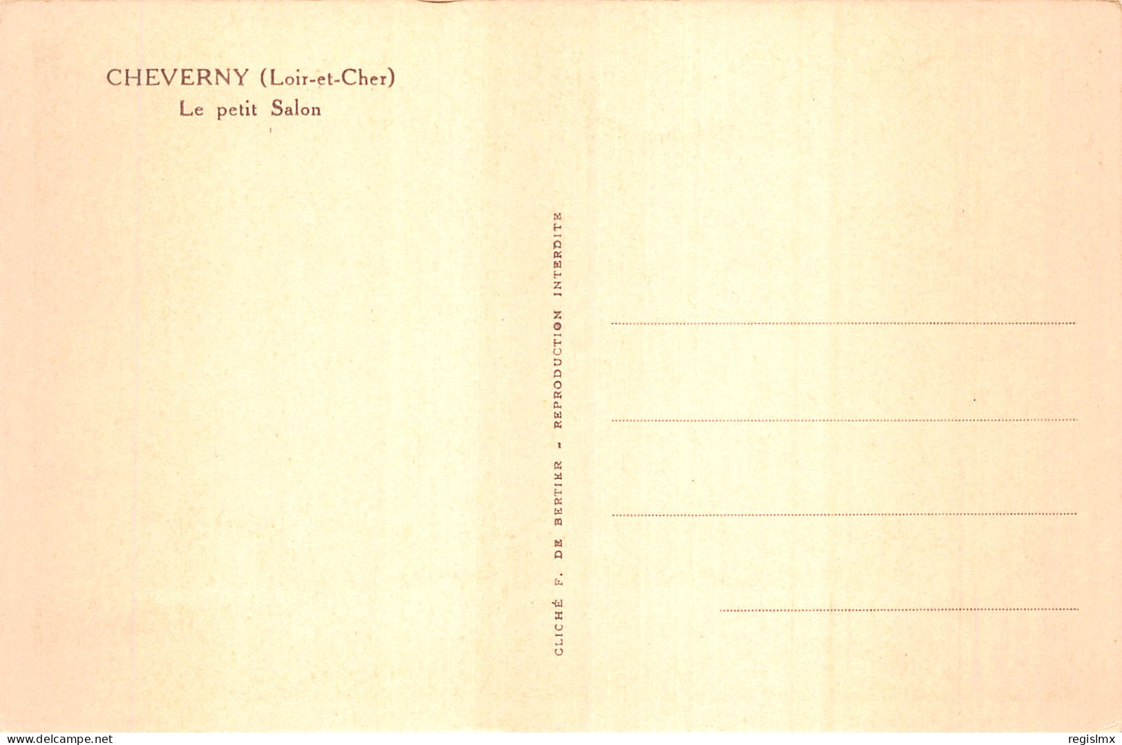 41-CHEVERNY LE CHATEAU-N°T1050-F/0271 - Cheverny