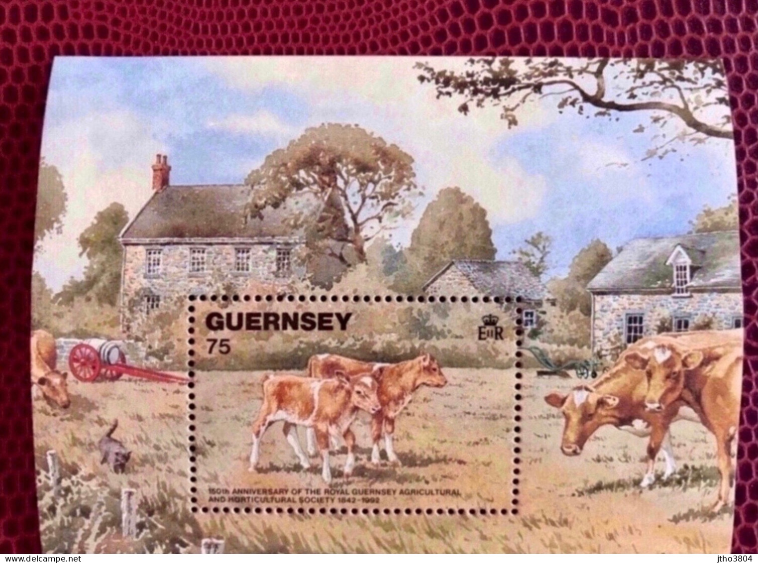 GUERNESEY 1 Bloc Neuf MNH ** BF 16 Vaches Cows Mammifère Mammal Mamífero Saügetier GUERNSEY - Kühe