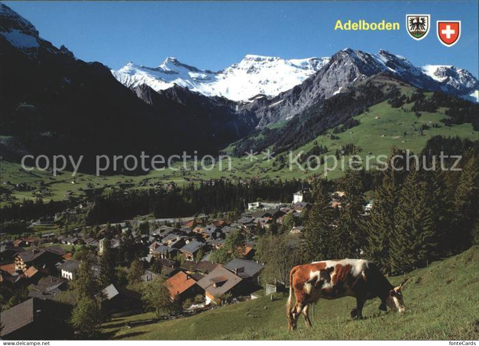 12005402 Adelboden Tierhoernli Steghorn Wildstrubel Fitzer Kuh Adelboden BE - Otros & Sin Clasificación