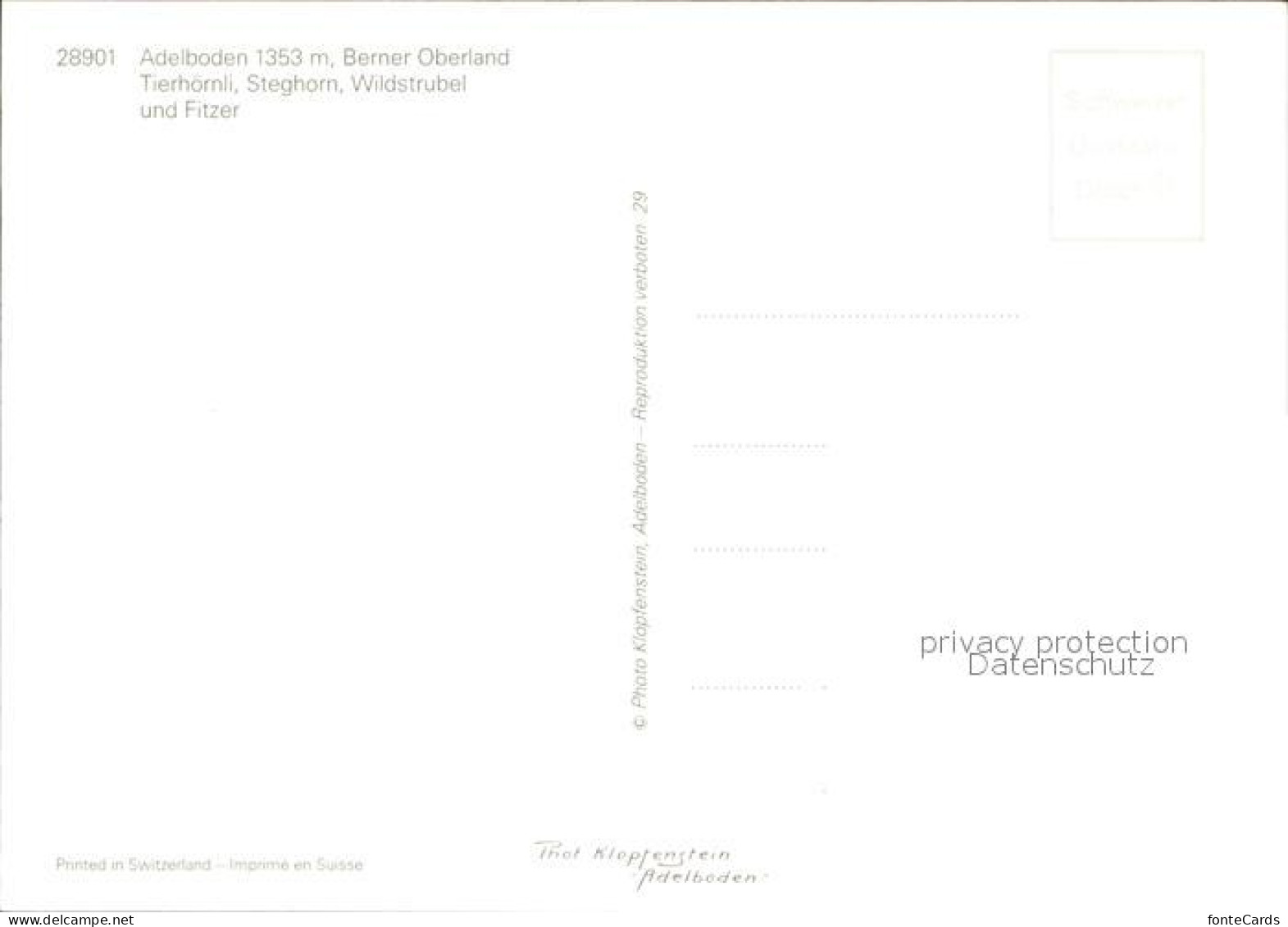 12005402 Adelboden Tierhoernli Steghorn Wildstrubel Fitzer Kuh Adelboden BE - Otros & Sin Clasificación