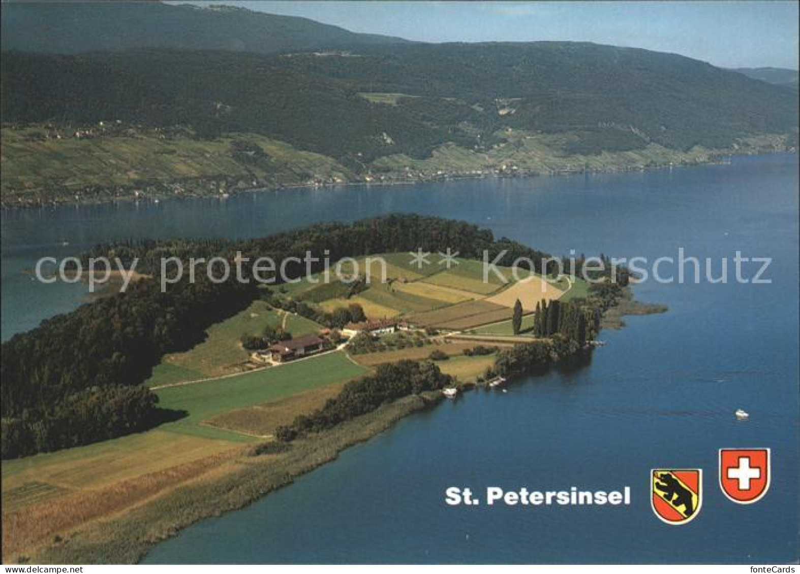 12005393 St Petersinsel Bielersee St Petersinsel - Otros & Sin Clasificación