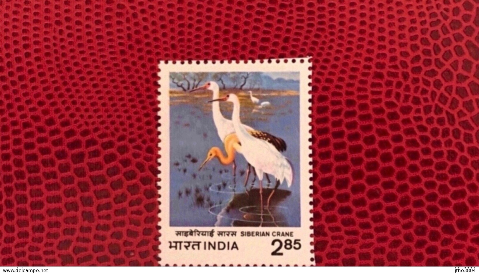 INDE 1983 1v Neuf ** MNH YT 753 Mi 942 Ucello Oiseau Bird Pájaro Vogel India - Gru & Uccelli Trampolieri