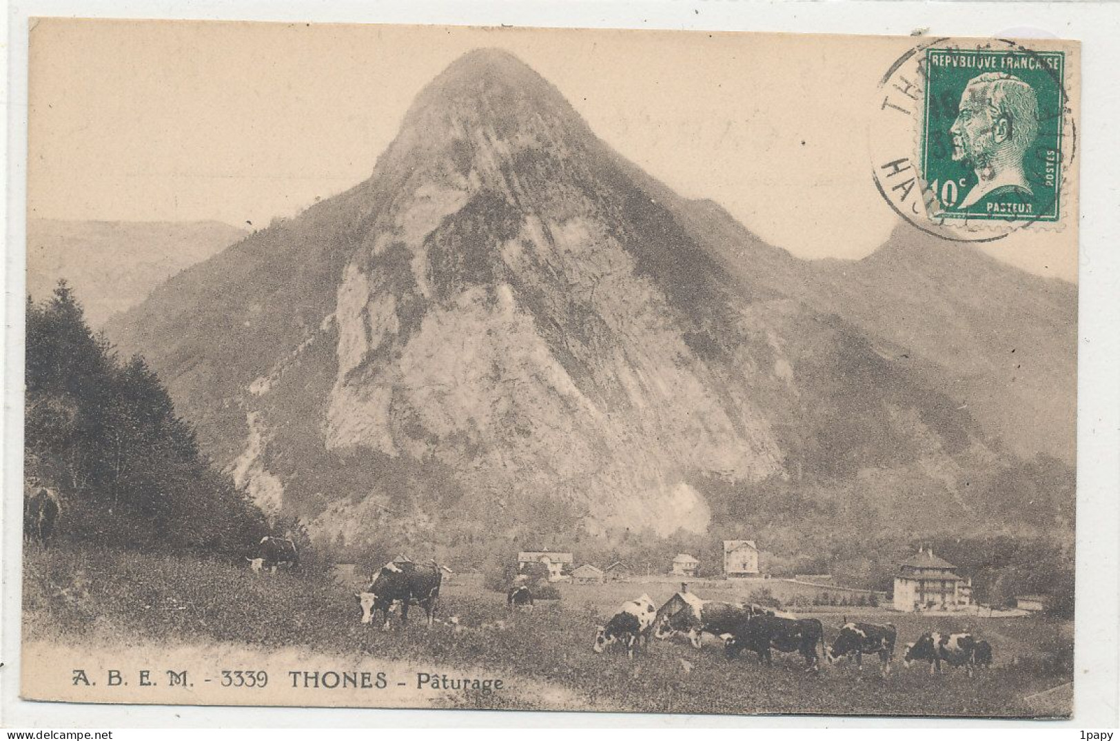 74 - Hte Savoie - Thônes Pâturage Vaches - Thônes