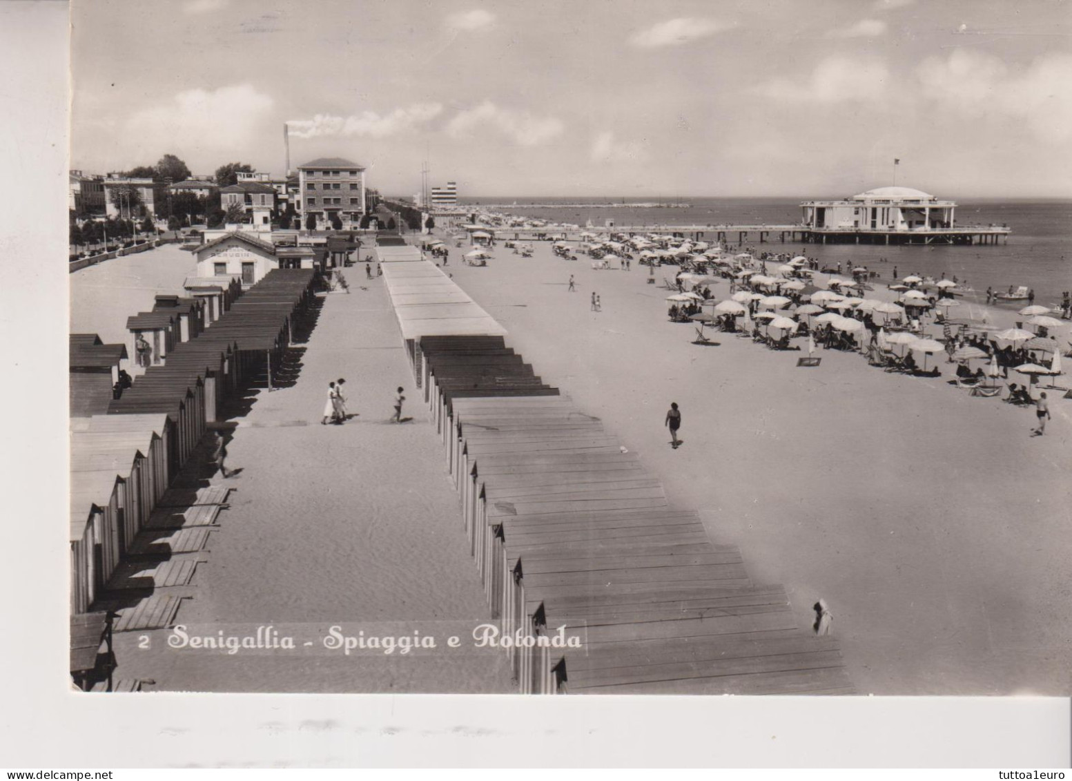 SENIGALLIA  SPIAGGIA E ROTONDA  VG  1954 - Senigallia