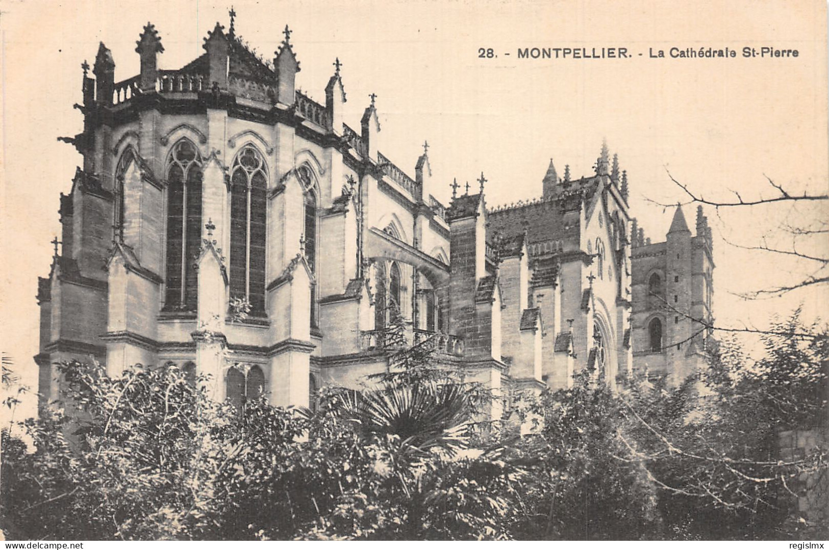 34-MONTPELLIER-N°T1059-G/0363 - Montpellier