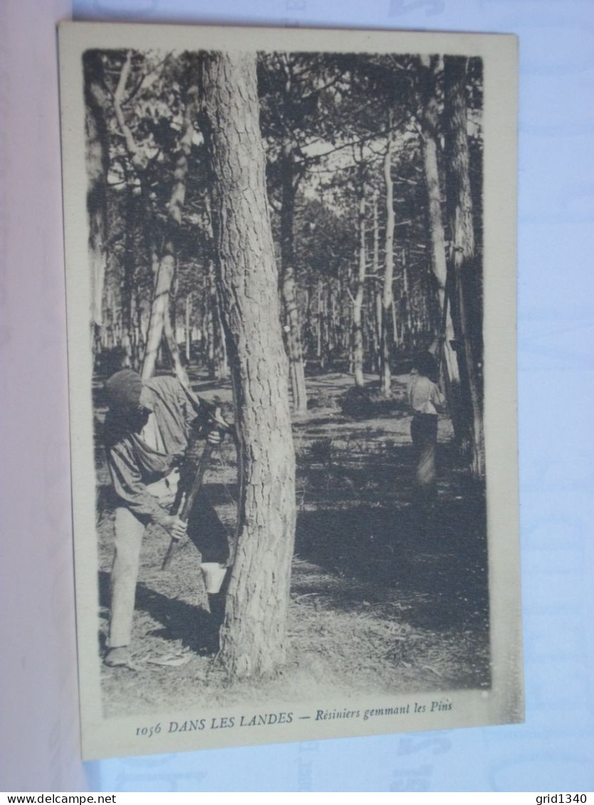 40 4122 LOT N° 5 DE 10 CPA DIFFERENTES SUR LES RESINIERS ET RESINIERES DES LANDES - Otros & Sin Clasificación