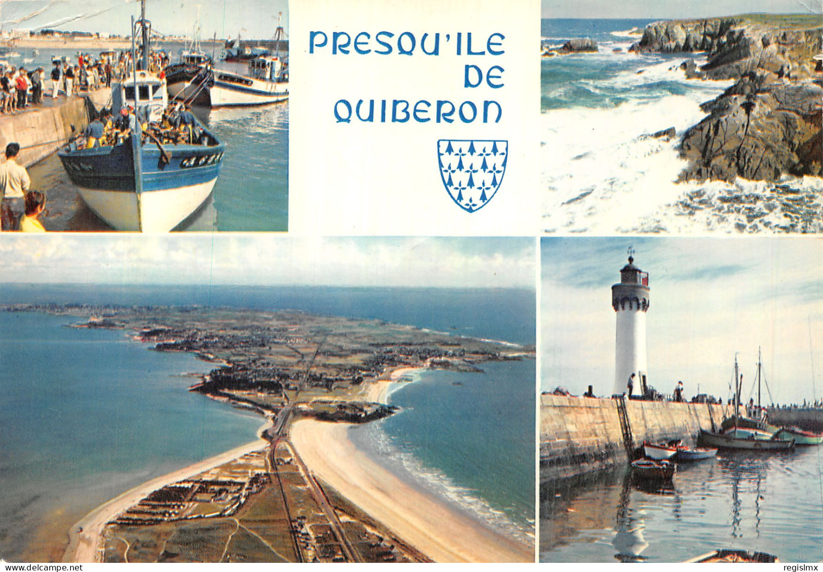 56-QUIBERON-N°T1062-B/0377 - Quiberon