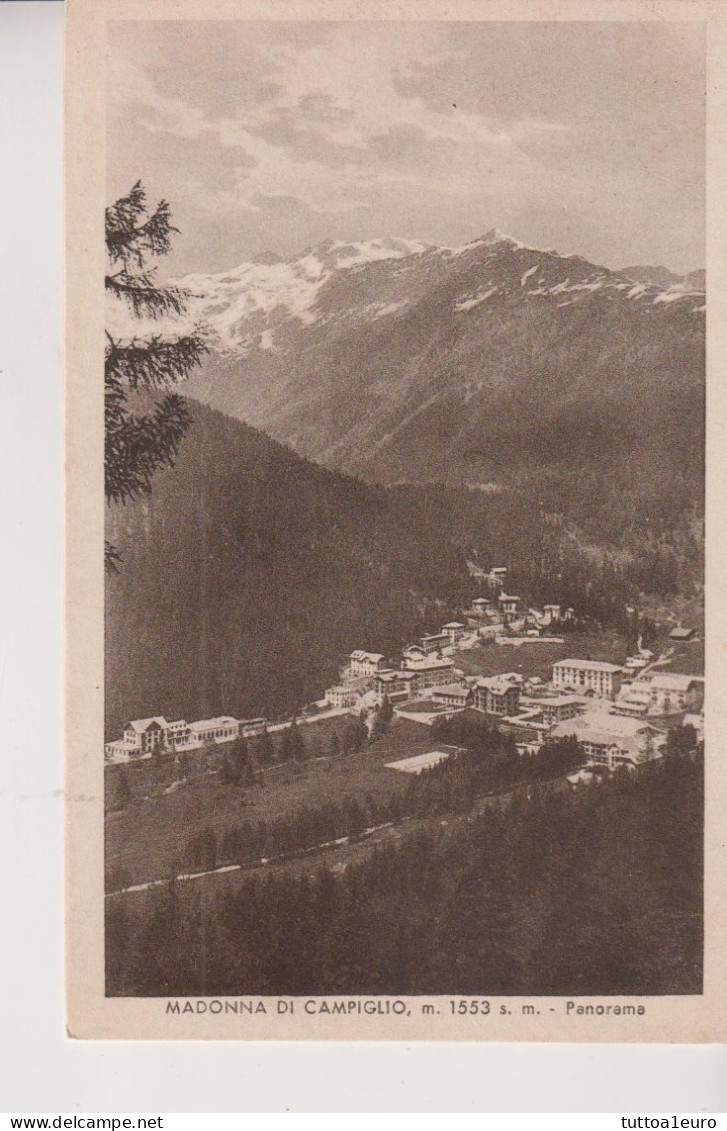 MADONNA DI CAMPIGLIO  TRENTO PANORAMA   VG  1939 - Trento