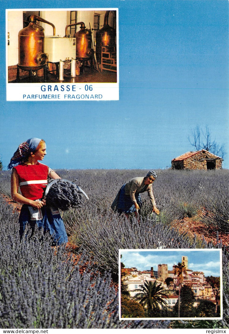 06-GRASSE-N°T1062-A/0393 - Grasse