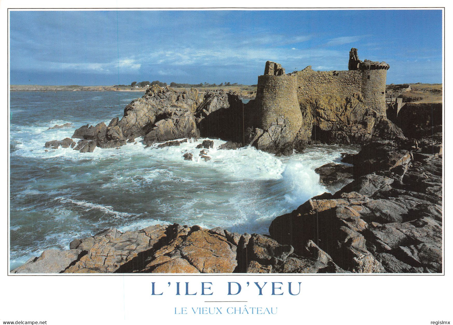 85-ILE D YEU-N°T1062-C/0365 - Ile D'Yeu