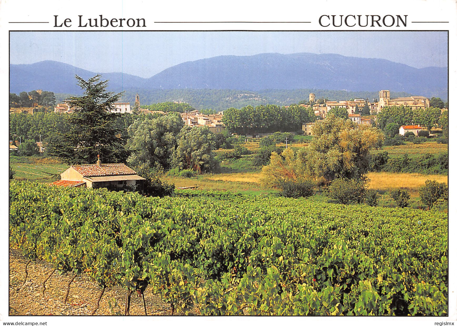 84-CUCURON LE LUBERON-N°T1062-F/0133 - Autres & Non Classés