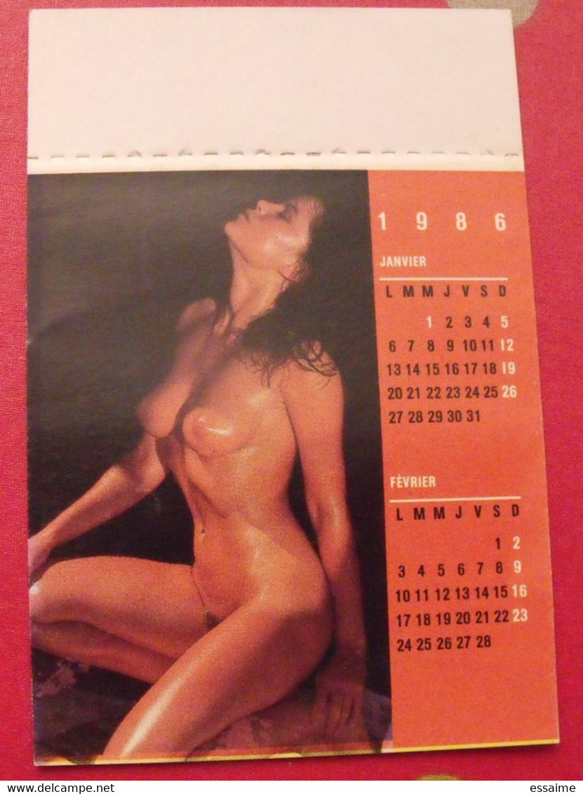 Petit Calendrier 1986. Photos De Pin-up - Petit Format : 1981-90