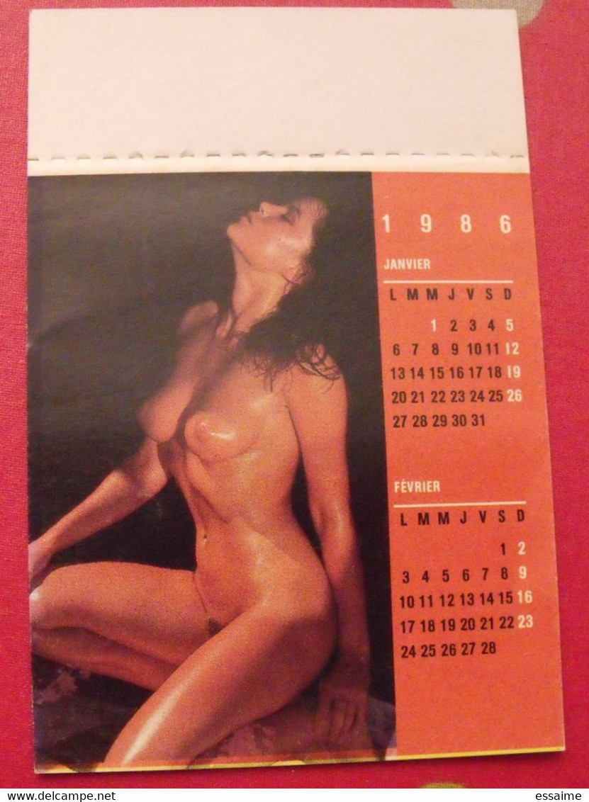 Petit Calendrier 1986. Photos De Pin-up - Tamaño Pequeño : 1981-90