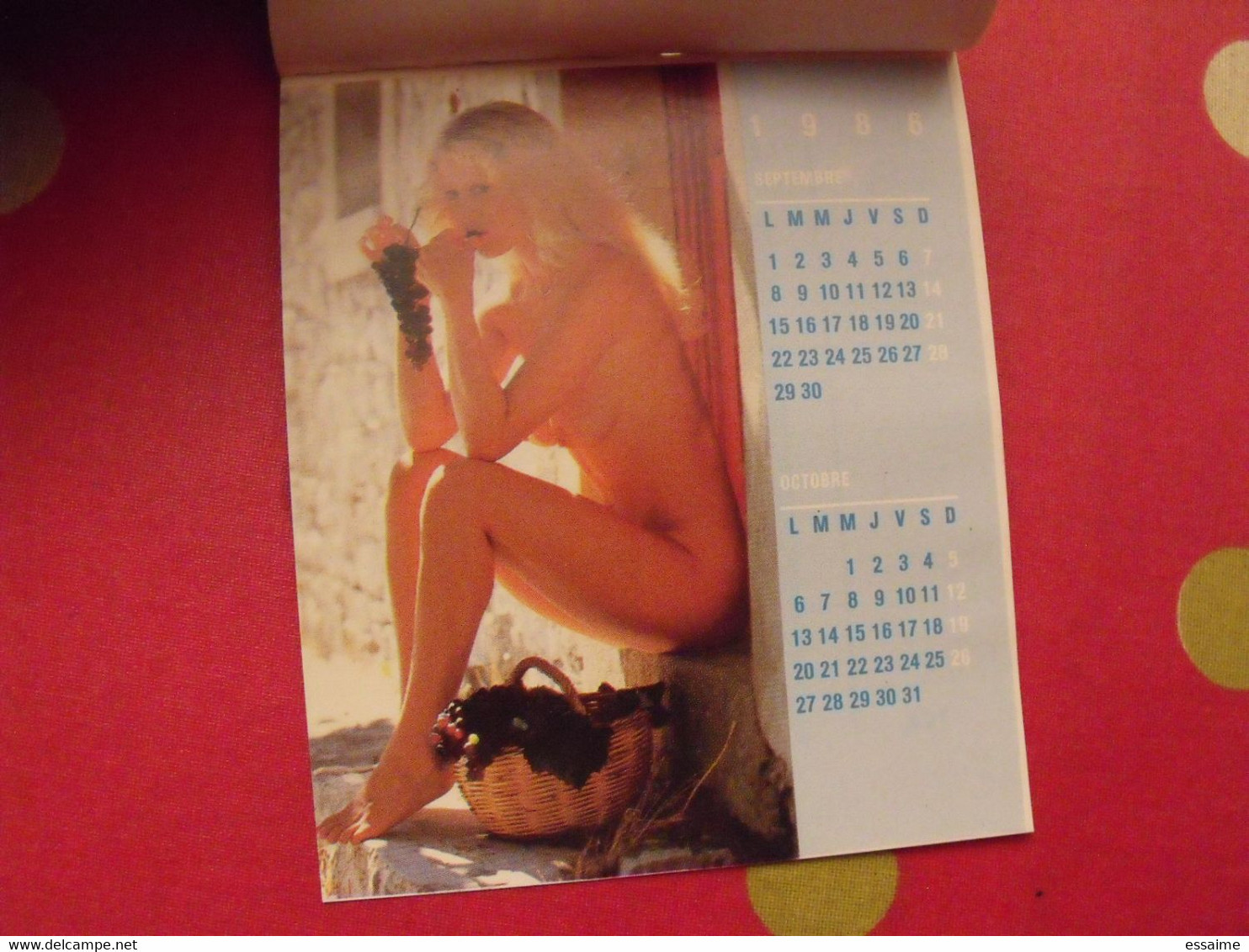 Petit Calendrier 1986. Photos De Pin-up - Small : 1981-90