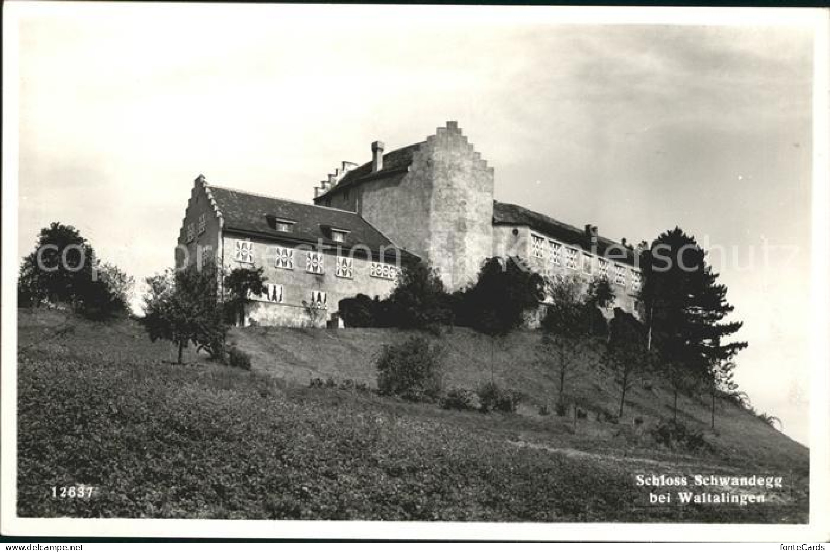 11995441 Waltalingen Schloss Schwandegg Waltalingen - Altri & Non Classificati